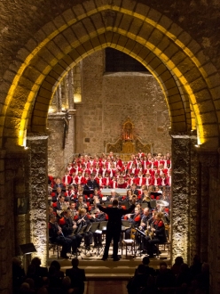 affiche Concert chevreuse 2012